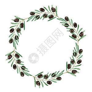 白色背景上隔离的圆花圈 手画绿树枝框( 绿色)图片