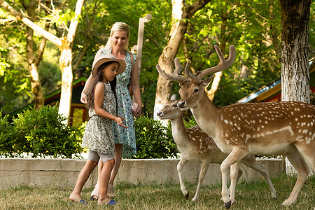 小女孩跟小鹿快乐的小女孩与鹿 家庭周末假期孩子女士荒野旅游微笑食物婴儿乐趣花园背景