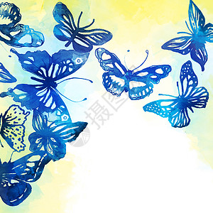 美丽的背景 有蝴蝶和花朵 涂有水彩色插图鸢尾花植物学天空叶子艺术土壤植物绘画飞行图片