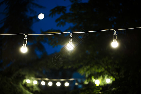 月亮树夜空中有发光灯泡的花园背景