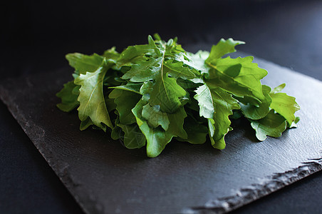 黑色黑板上的新花样饮食香菜树叶叶子草本植物食物团体味道营养蔬菜图片