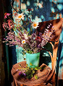 院子里的罗马式花束A 在复古风格下在院子里玉簪季节村庄花朵农场静物作品植物学国家小屋图片