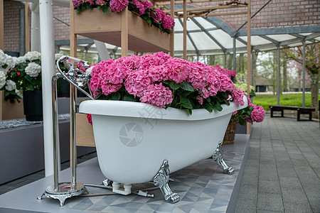 妇女日用充满粉红花兰花的古老浴缸装饰玫瑰花朵房子风格店铺婚礼女性奢华植物群图片