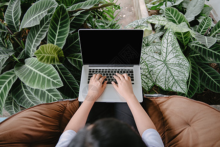 创意自由职业者女性在咖啡厅使用笔记本电脑与室内植物 女商务人士在线坐在室内咖啡厅使用笔记本电脑工作 自然绿色植物放松空间和休闲生图片