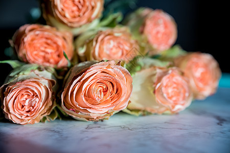 美丽的英国玫瑰花 阳光下 美丽的牡丹形浓密的粉红玫瑰 情人节 爱与忠诚的概念 花店的概念 一家小型家族企业花园卡片花瓣生日牡丹婚图片