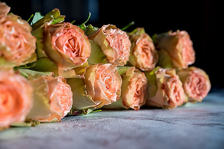 美丽的英国玫瑰花 阳光下 美丽的牡丹形浓密的粉红玫瑰 情人节 爱与忠诚的概念 花店的概念 一家小型家族企业纪念日花园花瓣玫瑰植物图片