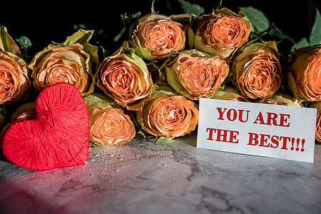 美丽的英国玫瑰花 阳光下 美丽的牡丹形浓密的粉红玫瑰 母亲节快乐或情人节 爱和忠诚的概念 花店的概念图片