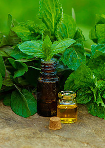 含有新鲜薄荷叶 深玻璃罐中的草药香味 在树桩上 阿洛玛疗法的概念香气温泉卫生植物叶子产品疗法身体照片玻璃图片