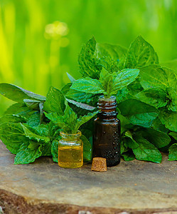 含有新鲜薄荷叶 深玻璃罐中的草药香味 在树桩上 阿洛玛疗法的概念产品草本植物药品芳香身体瓶子按摩化妆品玻璃治疗图片