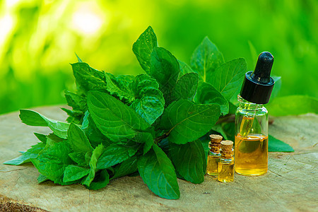 含有新鲜薄荷叶 深玻璃罐中的草药香味 在树桩上 阿洛玛疗法的概念叶子芳香疗法温泉草本植物玻璃背景产品卫生植物图片