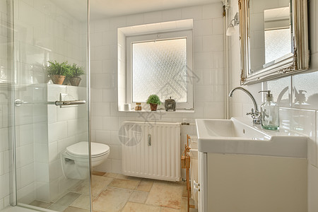 卫生间设计浴室内室内插有室内植物的厕所洗手间龙头房子淋浴财产装饰材料反射架子卫生背景