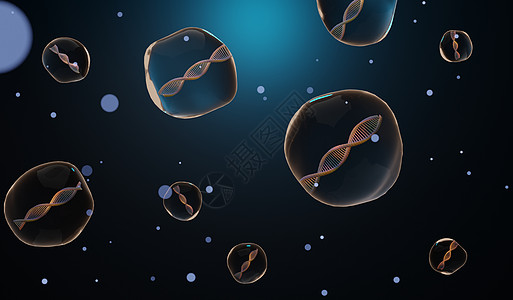 3d 渲染 RNA 的 DNA 螺旋互补链 序列遗传密码或基因组 基因表达 核苷酸数据库 转录和翻译的中心法则过程 人类基因遗传图片