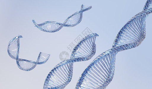 3d 渲染 RNA 的 DNA 螺旋互补链 序列遗传密码或基因组 基因表达 核苷酸数据库 转录和翻译的中心法则过程 人类基因治疗图片