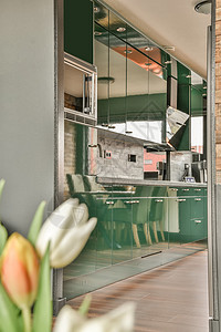 使用现代电器的绿色设计厨房木地板风格奢华台面地面木头公寓橱柜家具烤箱图片