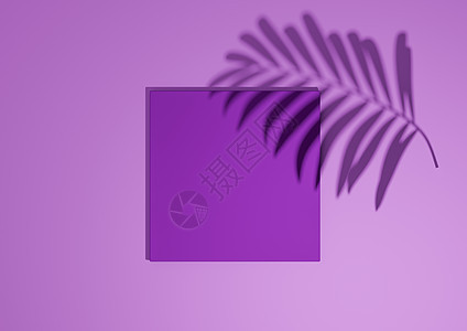 明亮的紫色 紫色 3D 渲染最小 简单的顶视图平躺产品展示背景 带有一个讲台架和棕榈叶阴影 用于自然产品背景图片