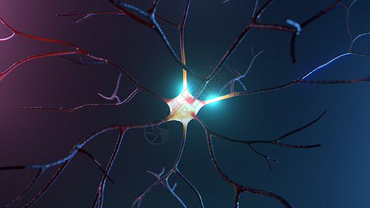从低活动3D向高活度3D传送中中子信号神经头脑3d神经元风暴核子网络细胞感知机冲动背景图片