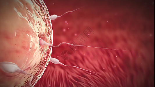 冷冻卵子卵子到子宫的旅程草图研究身体屏幕怀孕女性癌症女孩图表科学背景