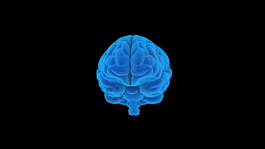 受体 单克隆抗体通过血脑屏障3D医疗插图的运输病人船只有氧运动蓝色科学中庭心室男人药品动脉图片