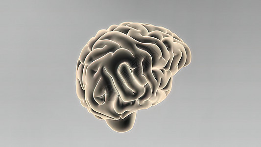 3D医学人体大脑插图显微镜药理心理活力小脑神经语料库胼胝体半球网络图片