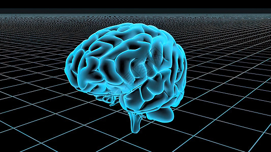 3D 动动无缝人脑循环医生小脑生物学风暴智力头脑神经学习细胞药理图片