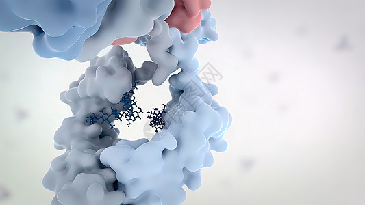 抗体是免疫系统为防治感染而生产的蛋白质矩阵细菌3d癌症考试显微镜监视器屏幕解剖学微生物学图片