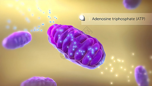 ATP 合成酶 3d 医疗 3D 立体Render遗传学矩阵显微镜实验酵素表皮流明合酶宏观间质图片