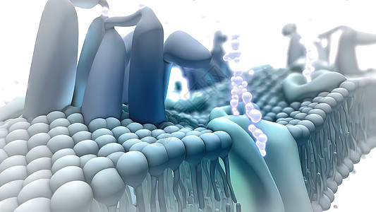 3d医疗插图动态后遗症脂质衣夹科学图形作用液体人体毛孔图片