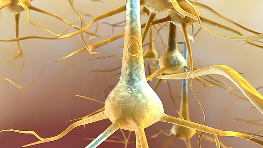 当神经元通过xon从细胞身体中发送信息时 就会产生行动潜力活动科学树突技术生物电脑枝晶信号插图活力图片