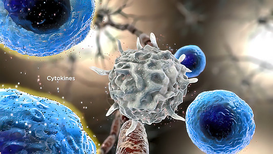 Cytokine 3D 插图的中年释放吞噬细胞身体细菌生物学白细胞癌症药品抗体趋化淋巴背景图片