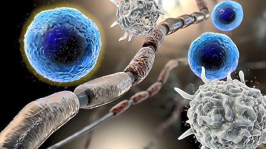 Cytokine 3D 插图的中年释放白色因子细菌吞噬细胞医疗癌症卫生白细胞微生物学生物学背景图片