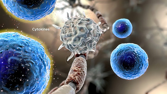 活性大型巨细胞的切托kine生产人类图像绘图作用免疫倍率免疫系统生物医学计算机图片