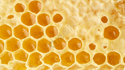 蜂蜜蜂窝闭合 新鲜的细丝滴滴糖蜜 宏观背景药品蜂巢细胞荒野梳子保健卫生金子蜂蜡蜜蜂图片