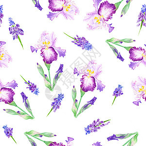 无缝背景与 Iris 水彩色植物图示蓝色紫色草图插图装饰品花园墙纸水彩植物群紫丁香图片