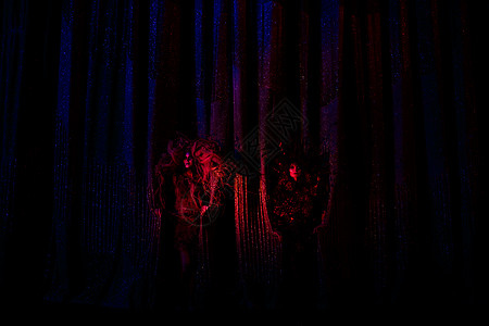 鬼女 戏院的幽灵 从剧场幕后看出风头建筑花圈音乐魅力精神森林舞蹈家展示椅子世界图片