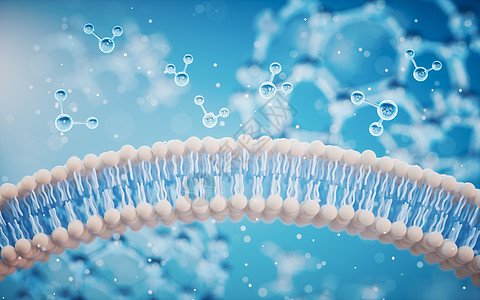 蓝色背景的细胞膜 3D介质真皮吸收生物皮肤微生物学修理洗剂技术渲染生物学图片