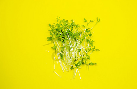 白色和黄色背景的微绿色芽水晶生料 选择性焦点   info whatsthis生长种子美食厨房蔬菜植物水芹叶子婴儿农业图片