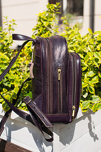 粗金底皮皮背包 背景的灌木贮存公文包肩膀口袋奢华带子拉链把手行李紫色图片