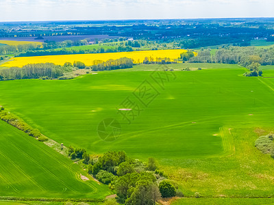 对农田的空中观察 农业面积草地农场栽培全景天线阳光国家植物鸟类小麦图片