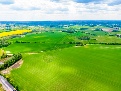 对农田的空中观察 农业面积场景全景土地农场鸟类栽培粮食植物阳光天线图片