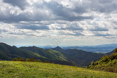 山上挂着厚重的云 森林覆盖着鲜花和山岳 自然景观图片