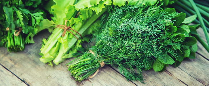 花园里新鲜的自制绿菜 有选择的重点洋葱生态食物芳香薄荷沙拉草本植物香料健康烹饪图片