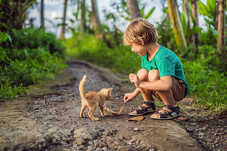 小男孩和小猫咪在外面玩耍公园草地孩子微笑婴儿童年情感友谊金发宠物图片