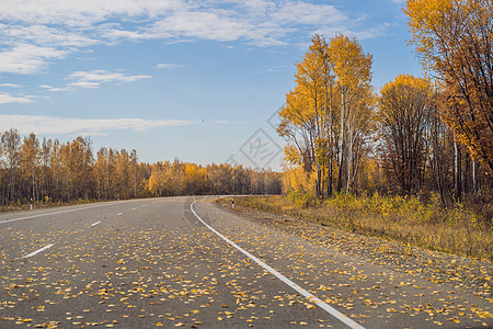 与五颜六色的秋天森林的惊人的看法有柏油山路的 美丽的风景与空旷的道路 树木和秋天的阳光 旅行背景 自然公园赛道路线蓝色太阳环境天图片