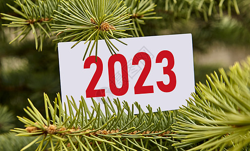 新年背景概念 配有2023卡的松树枝商业战略节日日历数字成功横幅卡片立方体派对图片