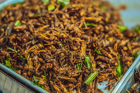 在泰国普吉街小街市场行走的炒虫热带蛆虫小吃蛴螬美食漏洞盘子油炸异国情调图片