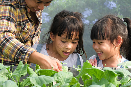 戴着草帽的年轻母亲在后院花园里教她的女儿们 小女孩在花园里帮助她的母亲 一个小园丁 可爱的小女孩在花园里种菜场地商业幼苗沙拉环境图片