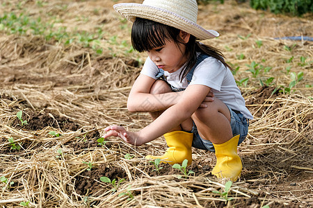 戴着帽子的小女孩在花园里帮助她的母亲 一个小园丁 可爱的小女孩在菜园里玩耍女孩家庭环境女儿商业幼苗植物幼儿园场地生长图片