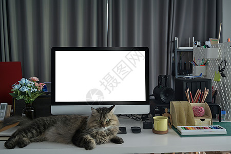 办公桌有电脑 咖啡杯 用品和可爱的猫图片