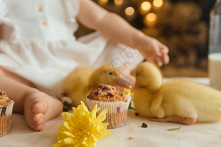 复活节桌上可爱的毛茸茸的小鸭子 旁边是一个小女孩 上面放着鹌鹑蛋和复活节纸杯蛋糕 复活节快乐的概念惊喜鹌鹑小姑娘友谊桌子房间乡村图片