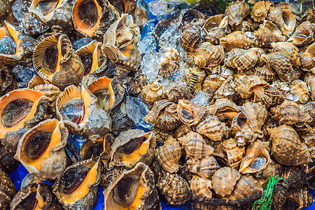南韩首尔Noryangjin渔业批发市场生海鲜寿司乌贼旅行街道商业美食贝类食物地标展示图片